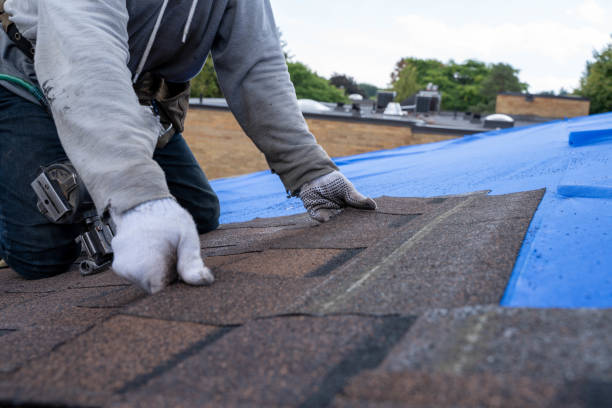 Roof Coating Services in New Market, TN